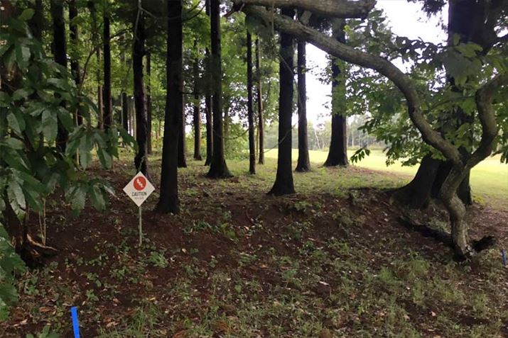 тɑł񂾂s͂ǂ̕Ȃ̂킩ȂcƂ̂͂悭P[X