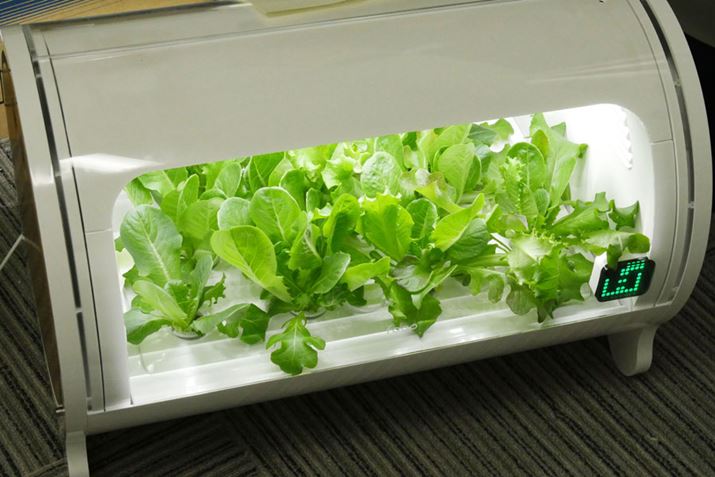 oЂĂ炷Ɂufoop LitevmFƁAɂ̓TTƈ^X̎pI