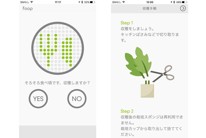 ɂĂn̂ƂBAvŎn̎菇Ă̂ŏ܂