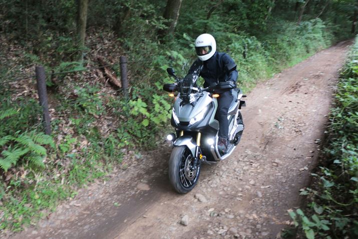 y̘Hʂɐ΂SS悤ȘHʂ𑖂Ă݂