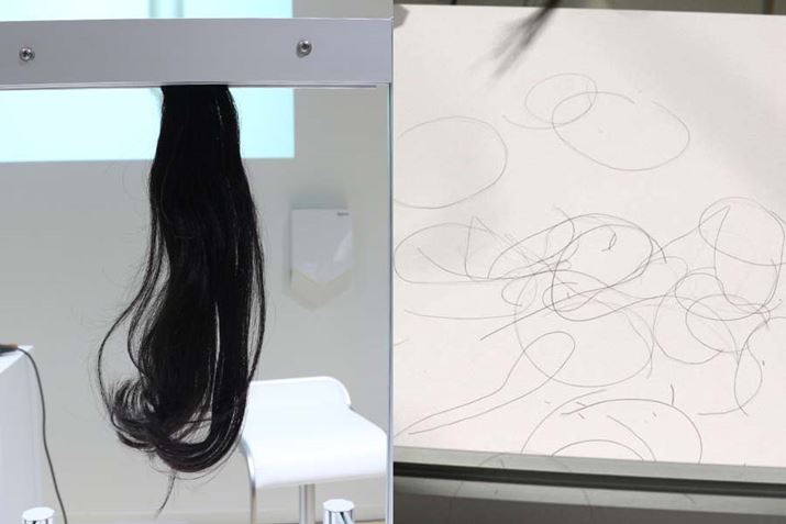 Ԃɓ悤ɃX^COłA񂾔̖т͎肮ƍLA؂тcc