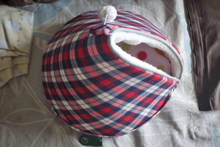 B~̌`ɂȂĂāA^ォ猩ƂȊłi{{tĂ܂j