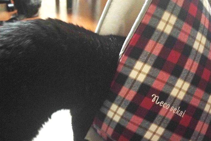 ɓ܂I ̏uԂ𓦂킯ɂ͂܂