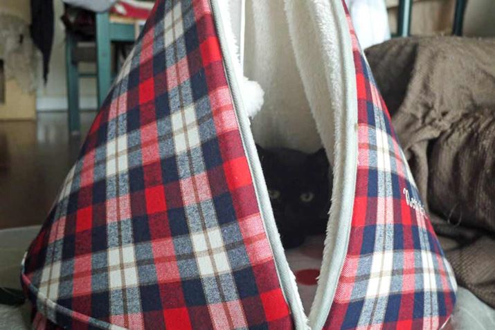 S}3kgƂȂLȂ̂ŁAꂭ炢]T܂