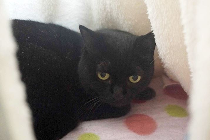 ̒gɋCt悤ŁAQ̐ɓ܂