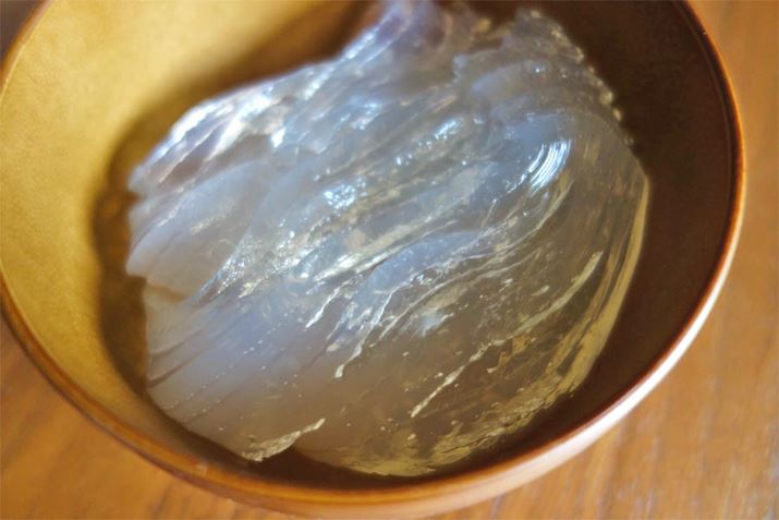 wV[ȘåÖuƂĂv