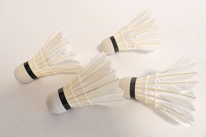 ڂ͕ʂ̃VgƓłAɎd|c