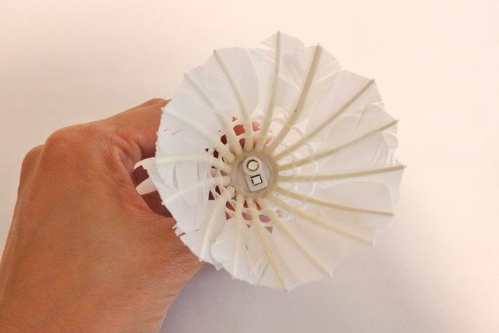 Vg̉H̓ɃXCb`LEDCg𑕔