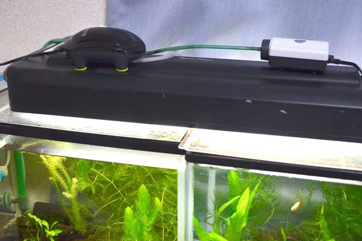 ͂2ނ̃GA[|ṽmCYeXgĂ݂܂