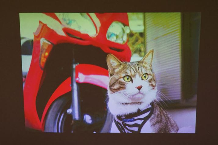 ȂNbLf܂B20C`x̑傫ɓeĂ܂