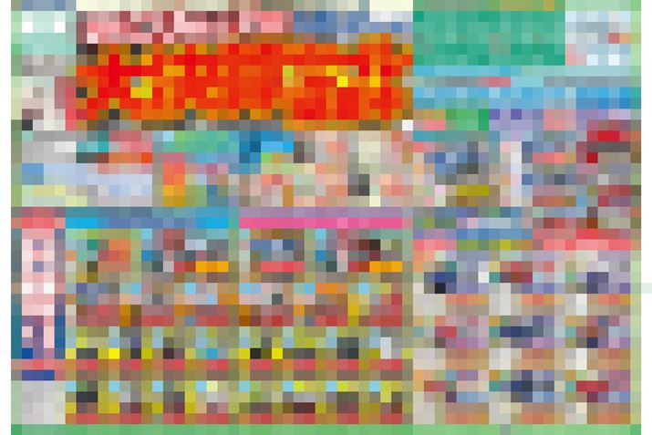 �ʐ^�̓C���[�W�ł�