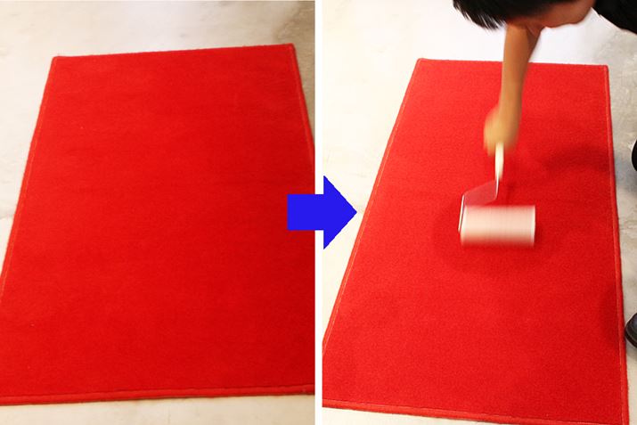 S~͂܂Ȃ^ԂȃJ[ybgASJ[ybgN[i[ő|