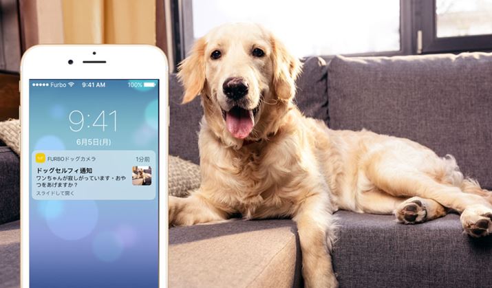 uFurbovɋ߂ÂƎŎBevbVʒmuhbOZtB[ʒmv