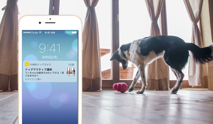 ̍sFʒmĂuhbOANeBuʒmv