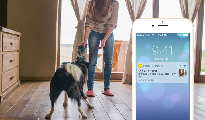 ut@~[ʒmv́Al̓m̂ŁAhƑ΍ƂĂ@\ł