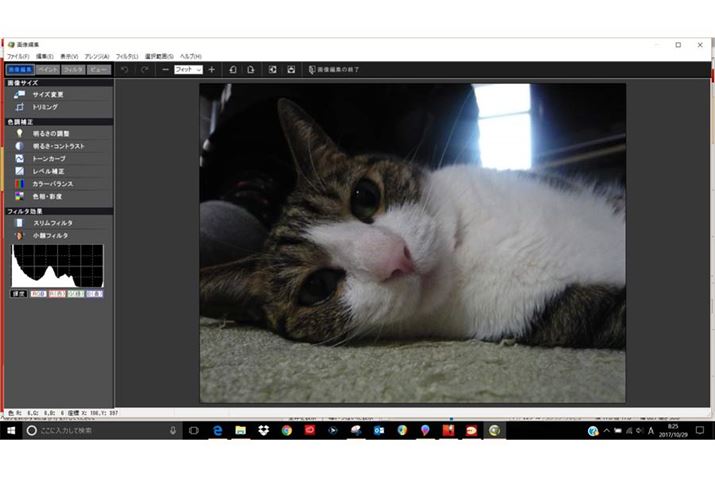 摜ҏW\tg݂ɍׂ␳\ł