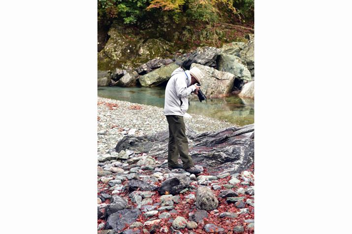 Pn̗lqBOD搶͂ł^ɃJ̃t@C_[`ł܂