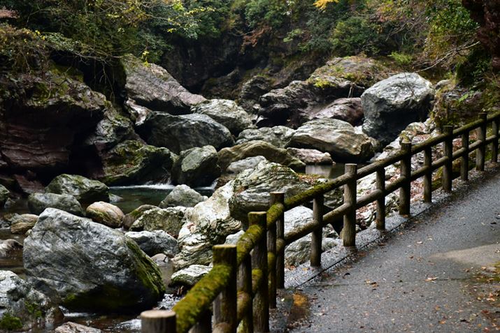 ÌkJ͌RɎw肳ĂƂƂAVƐĂ܂