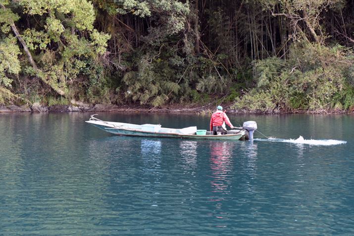 ^悯΁Al\얼̃EiM邩IH