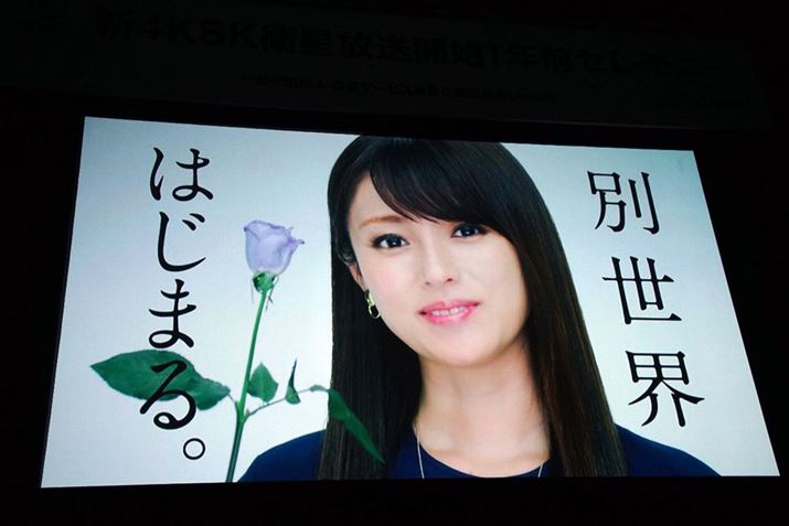 [cq̏o4K8KPRBeς݂̖`J