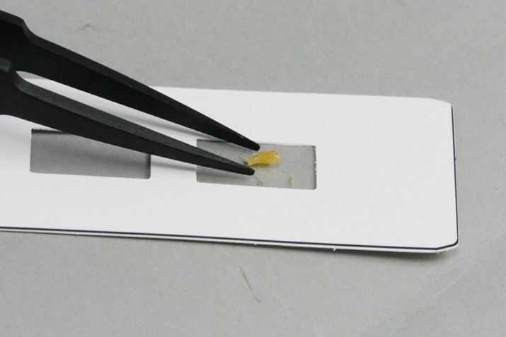 vp[gЂԂăTvV[̗ɐݒu