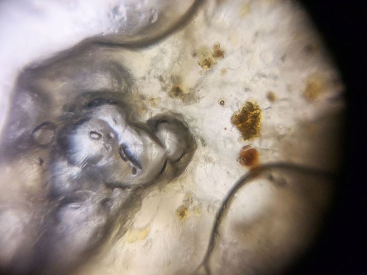 ۂɌĂ݂̂̓|eg`bvXBɂ傤ɂƎ֍sĂ悤Ȗ͗l͖Ȃ̂ł傤