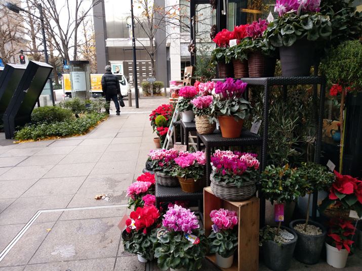 VNBeBܓVł͂邪Au͌ꂸ̂dオ肾