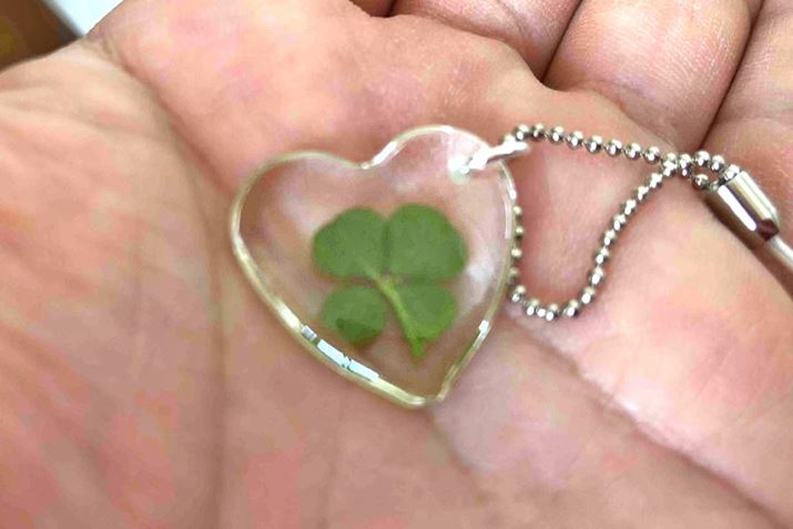 n[g̒ɖ{̎lt̃N[o[Ă܂