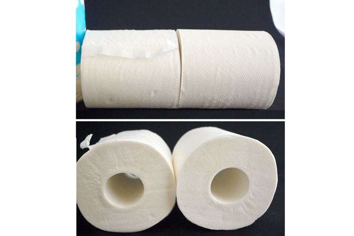 \ʂł킩G{XHłAƂ͂܂Ȃł