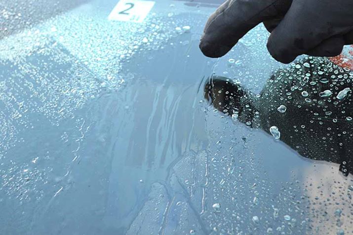 hbƂt̂Xނ悤ɂėnĂlqAƓł