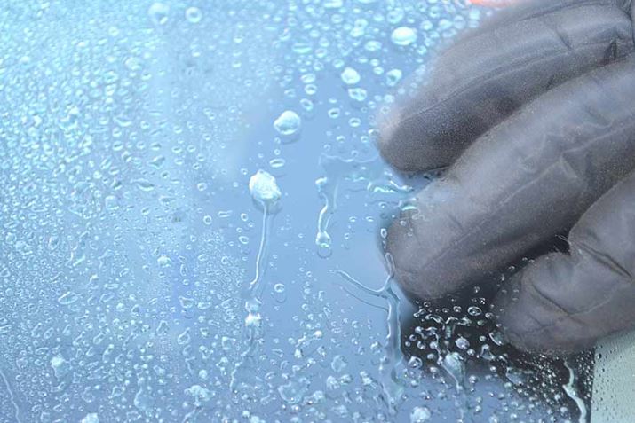 Ȃ蕪Aꕔ̉cĂقډ܂Bēh~ʂ҂ǂł