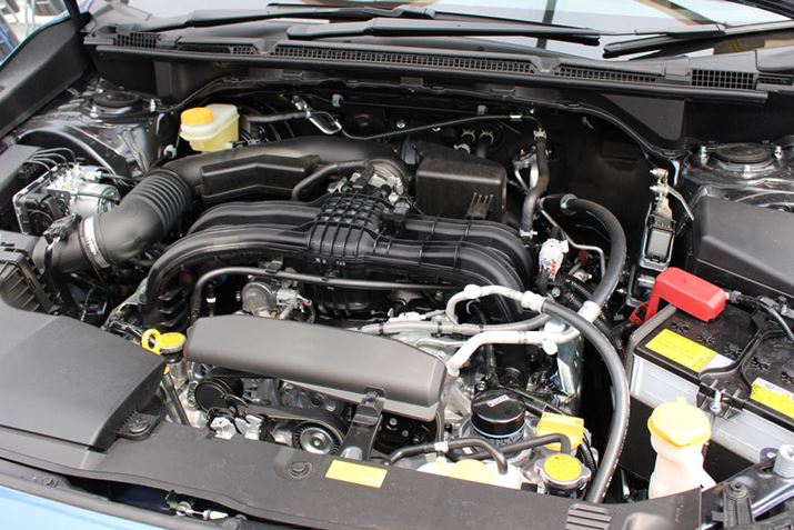 Xo̐΍RGW𓋍ځBHj݂