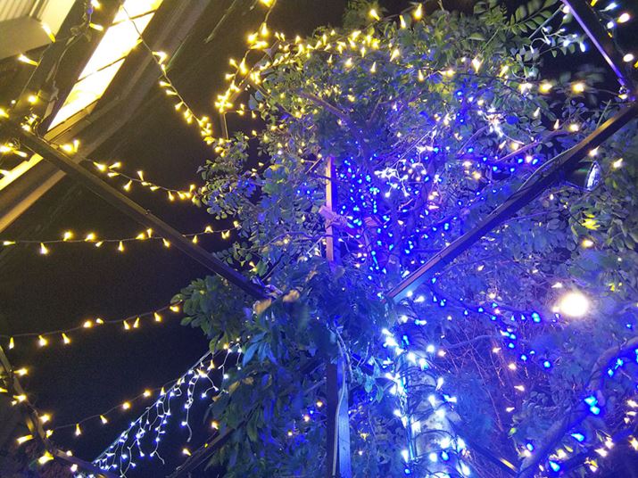 C~l[VōʂꂽXHpVB󕔕ɂ̓mCY