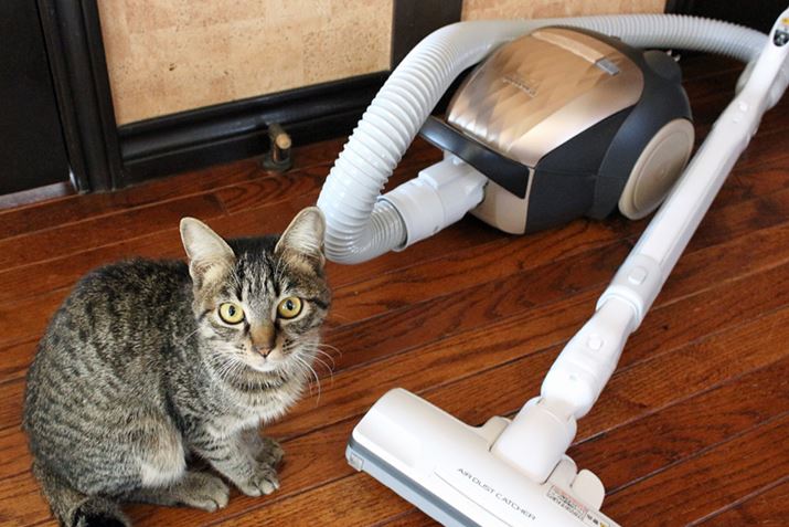 LĂƂɂ܂āA|@Ă炢܂I