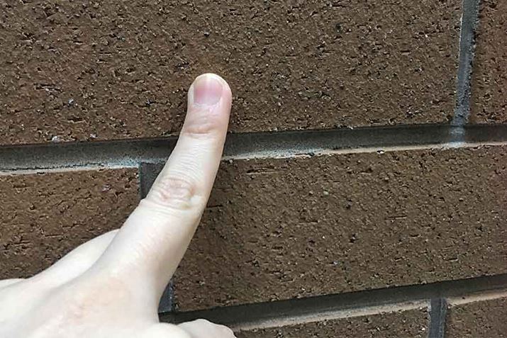 ɂ悭gpĂAK̂悤Ȍڂ̕ǂł