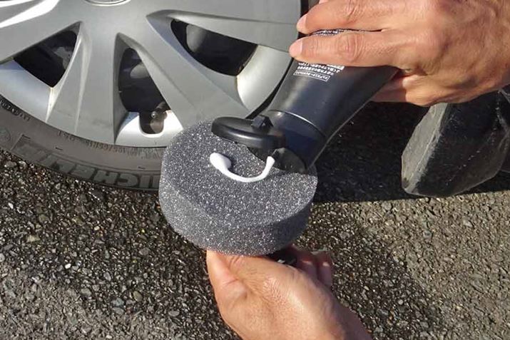 t̃X|Wɉt܂h܂BSxwIɒ悢ŁAt܂ڂăX郊XN͒Ⴂł傤