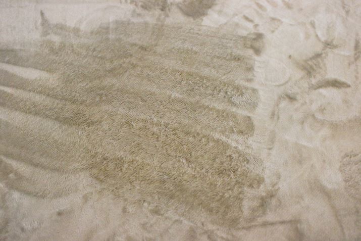 �R�[�q�[�̐F���t���Ē��F�������������L���C�ɂȂ�܂���