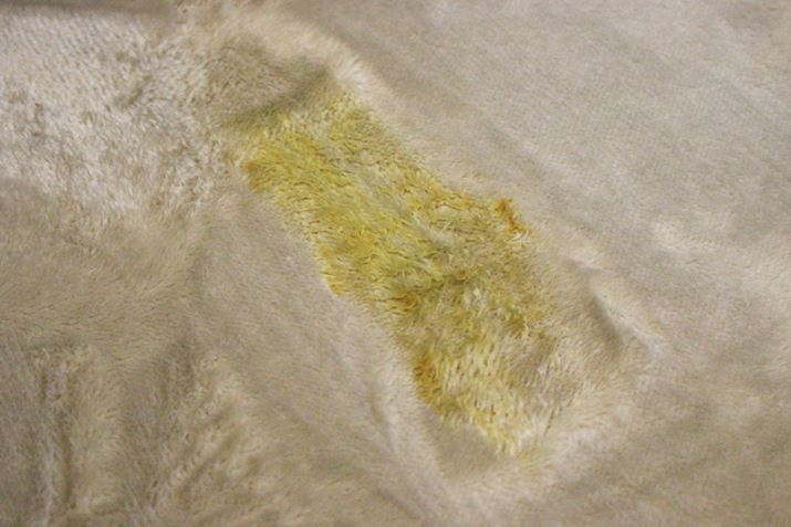 �J�[�y�b�g�ɂ��ڂ����J���[���̂͋z�����܂������A����̓J�[�y�b�g�ɂ�������t���Ă��܂�