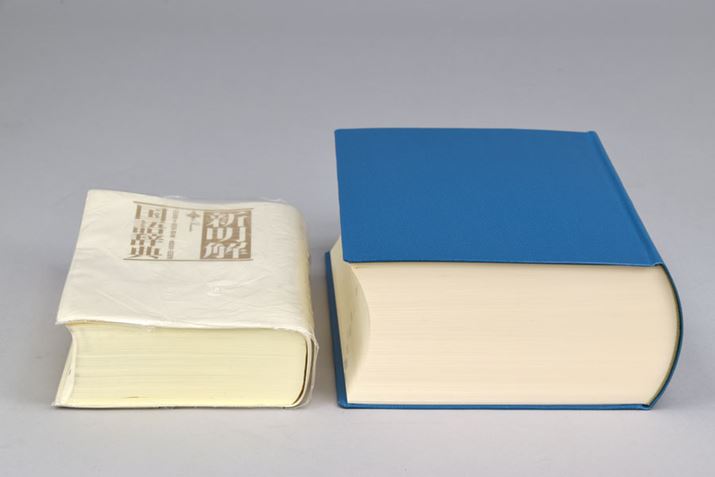 ʓIȍꎫTƔׂƁȂ傫͗RI