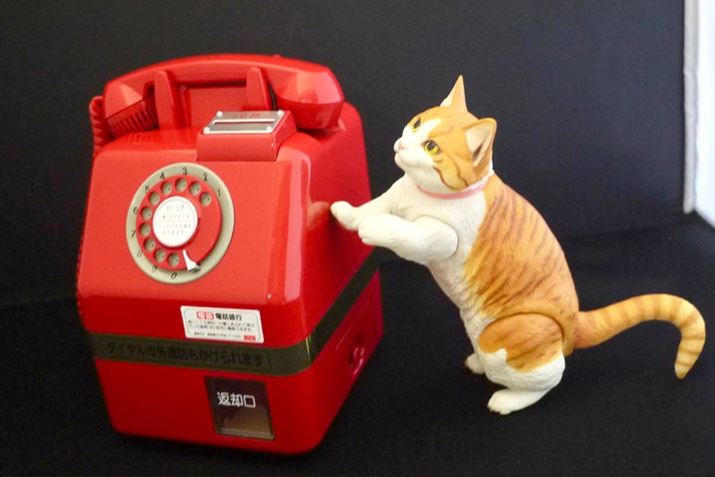 ͂ԓdbƂ΁A΂̓XƔLƂƂŁAȏ肩