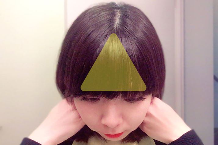 OƂ́AڐKƓ񂾎Op`̂̕