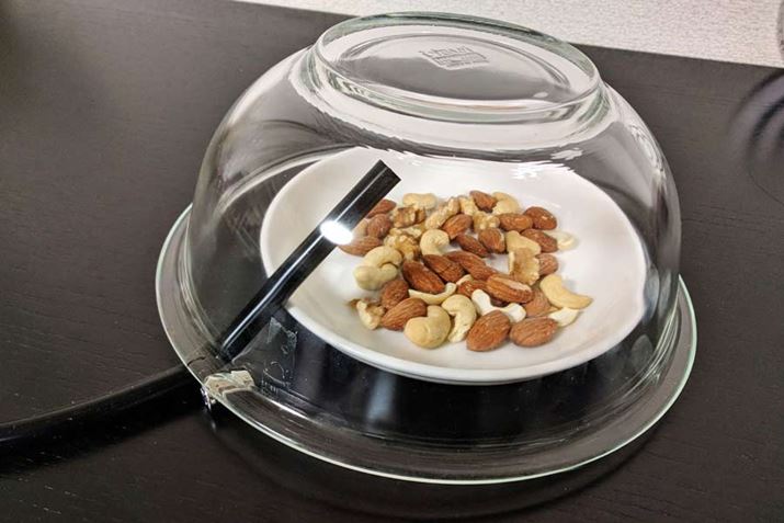 ł邾ԂۂȂe̒Ƀ`[u[}݂܂