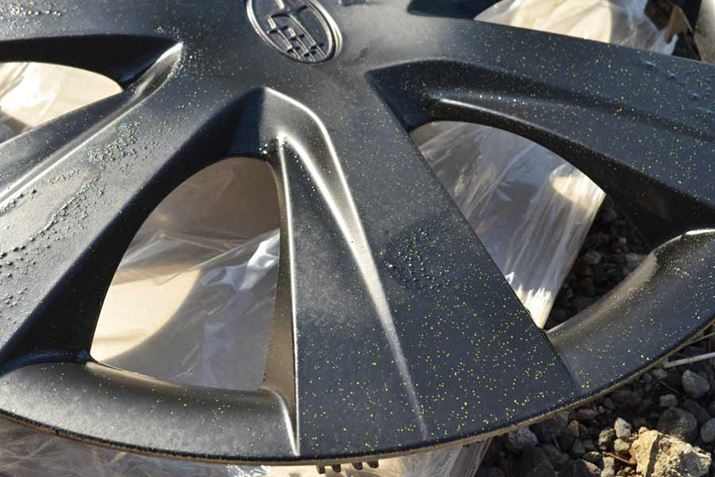 RɂCG[̗qɂAȃ!?i΁j