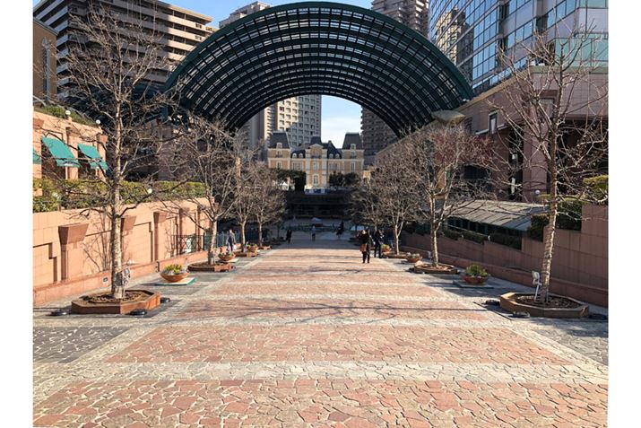 YɁuiPhone XvɂĎBeBJAv̔{1{