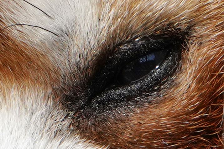 ̍Ⴉڂ̎𓙔{Ő؂o摜B𑜊̍`͂