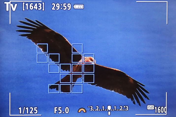 ]ʑ̂̒ǔサAT[{AFgxȒǔ\ƂȂĂ