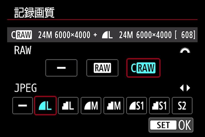 VRAWtH[}bgCR3ɑΉBf[^eʂ}ċL^łC-RAWIł