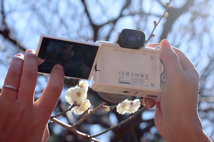 ^b`Ή̃oAOtj^[̗p̂EOS Kiss炵Ƃ