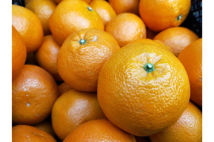 ݂̕\ʂ̉ʂ𑨂1Bo悤ȐFɂȂ