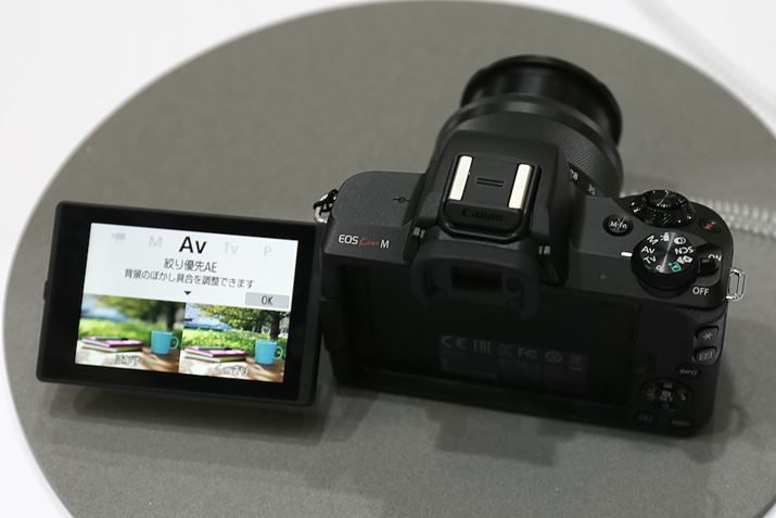 oAOtj^[ȂǁgKissh炵쐫̗pĂ